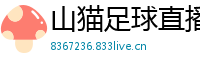 山猫足球直播